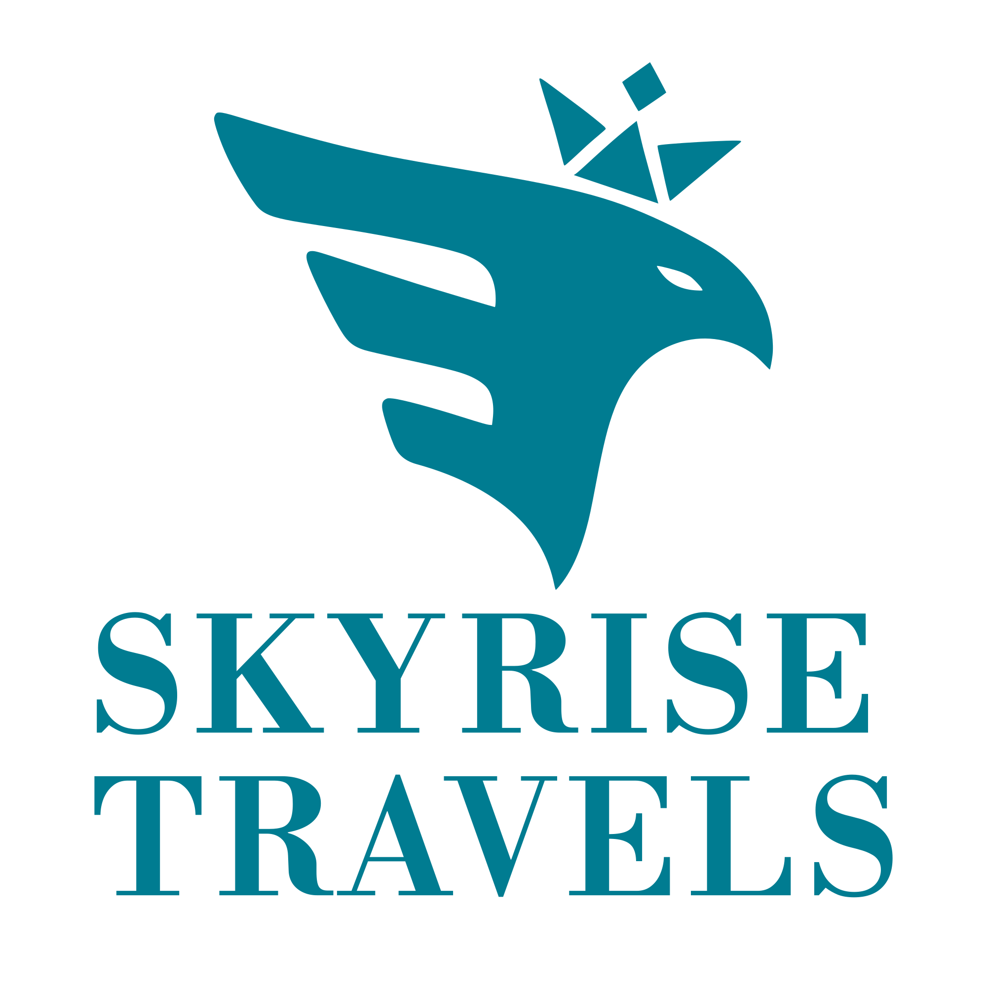 Skyrise Travels