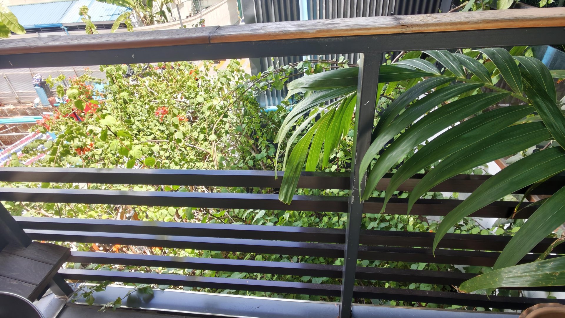 Rooftop garden