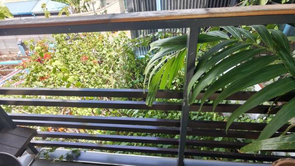 Rooftop garden