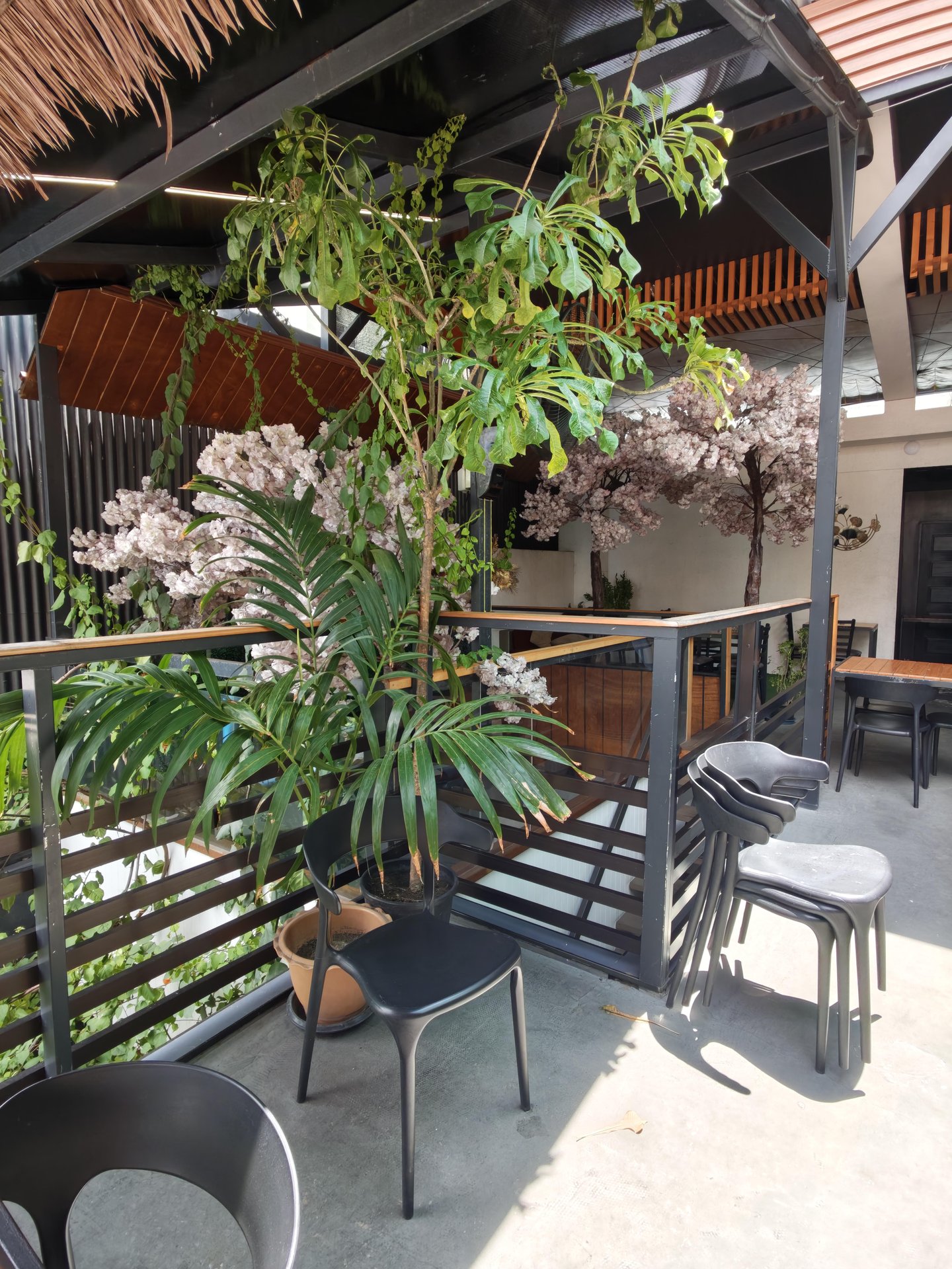 Sakura outside atmosphere